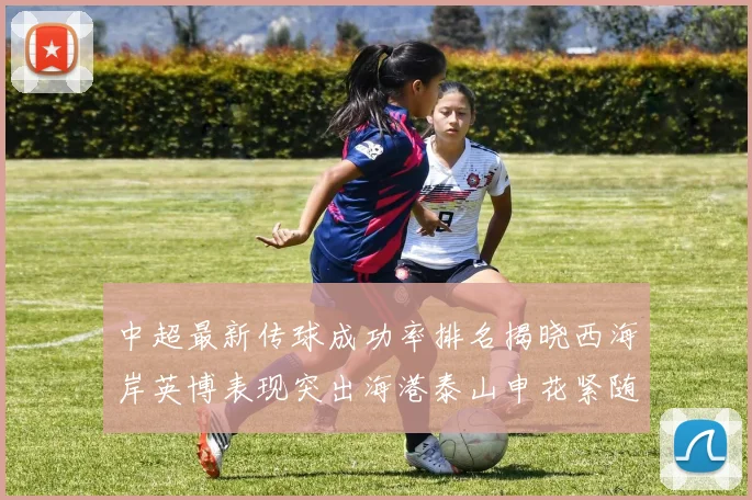 中超最新传球成功率排名揭晓西海岸英博表现突出海港泰山申花紧随其后