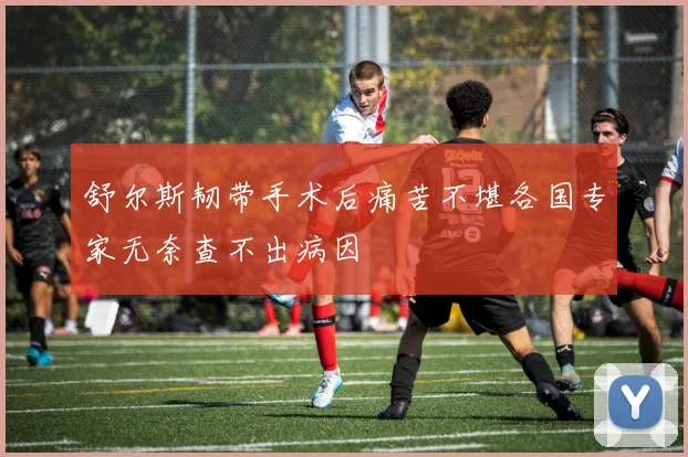 舒尔斯韧带手术后痛苦不堪各国专家无奈查不出病因